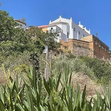 Molino Leones
