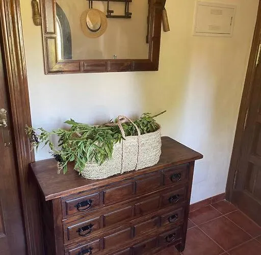 Molino Leones * Ρόντα